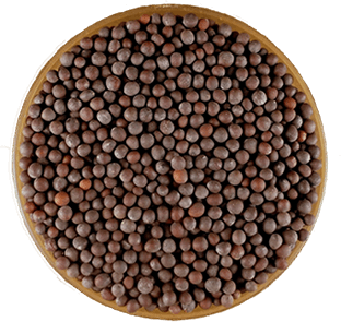 Mustard Oil
