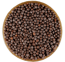Refined Mustard Oil